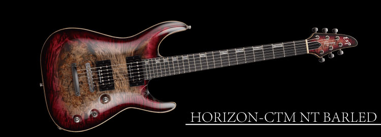 HORIZON-CTM NT BURLED MAPLE