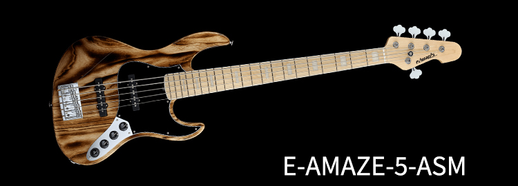 E-AMAZE-5-ASM