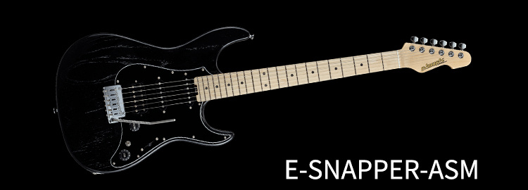 E-SNAPPER-ASM